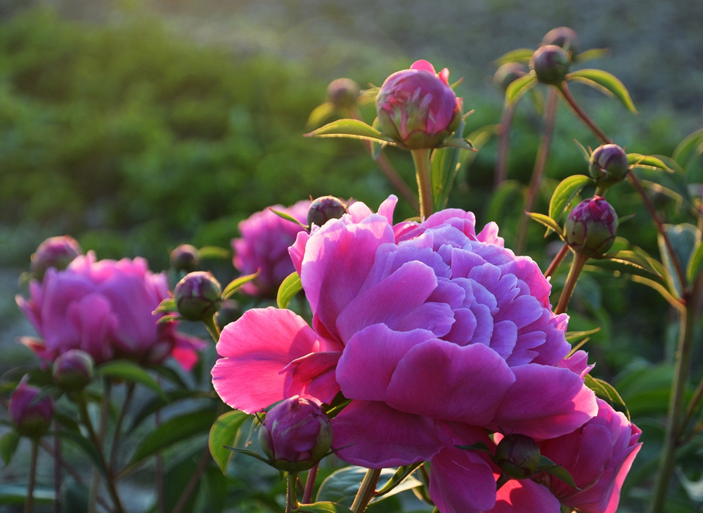 ĵ�������� 410_����.jpg