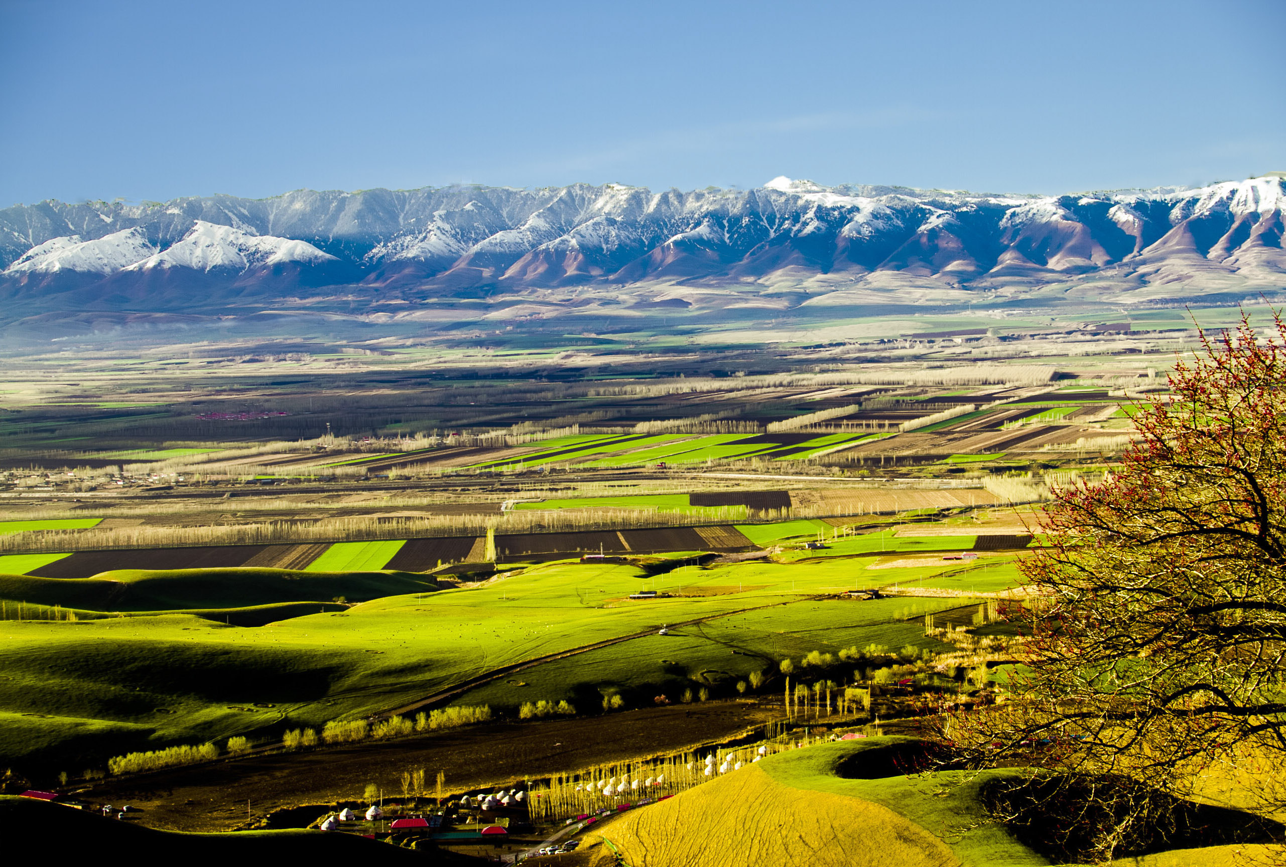 1 (2)����.jpg