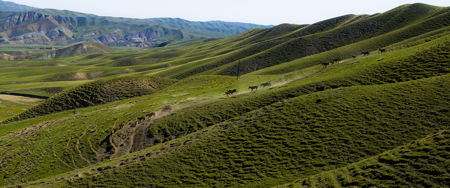 ��ԭ֮����