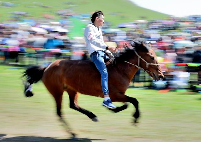 ������С ABC_2941.JPG