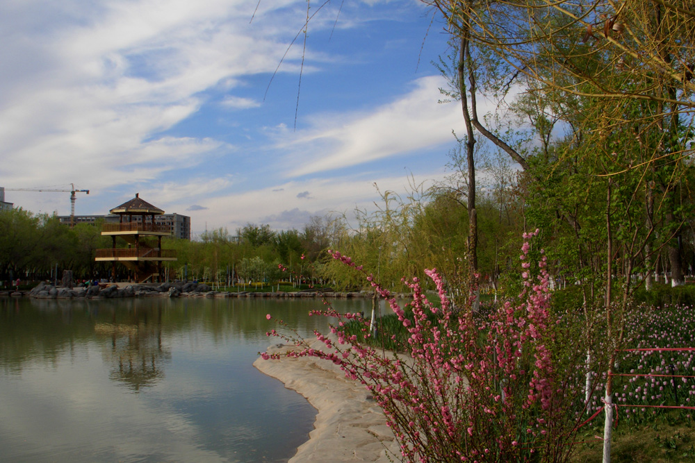 CIMG4958 ����.jpg