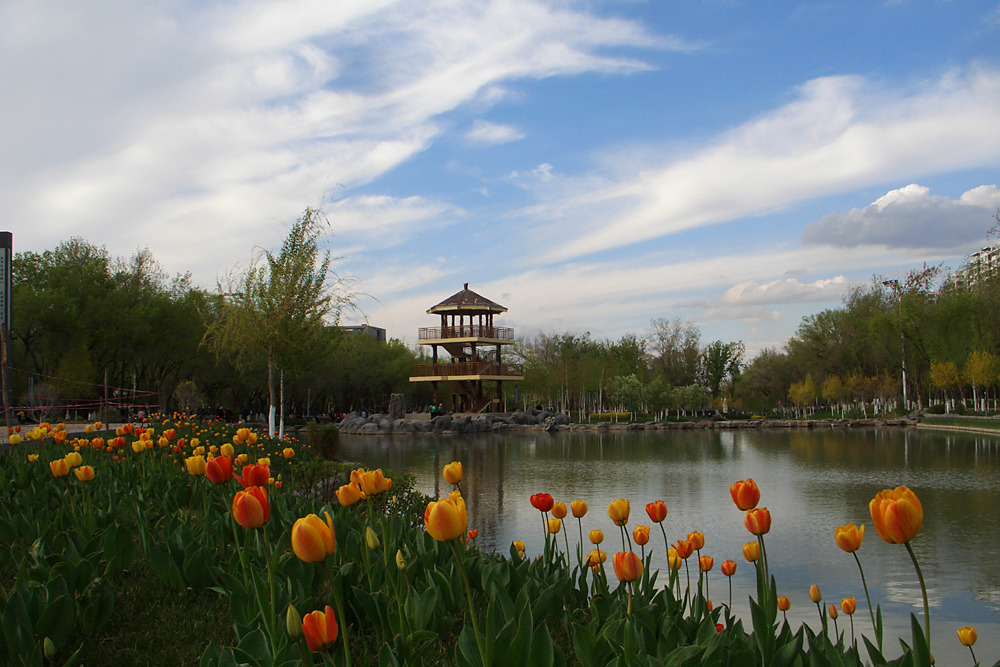 CIMG4960 ����.jpg