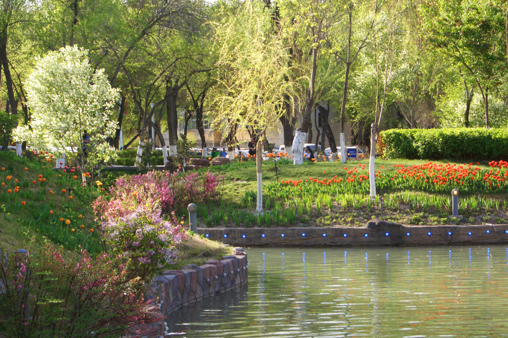 CIMG4992 ����.jpg