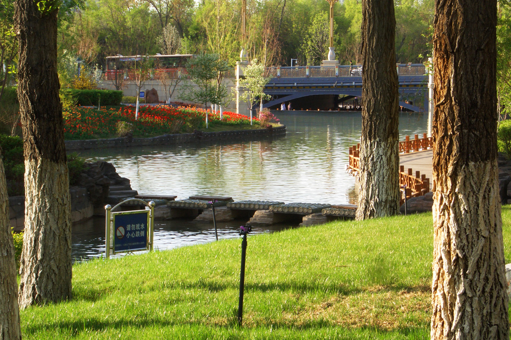 CIMG5037 ����.jpg