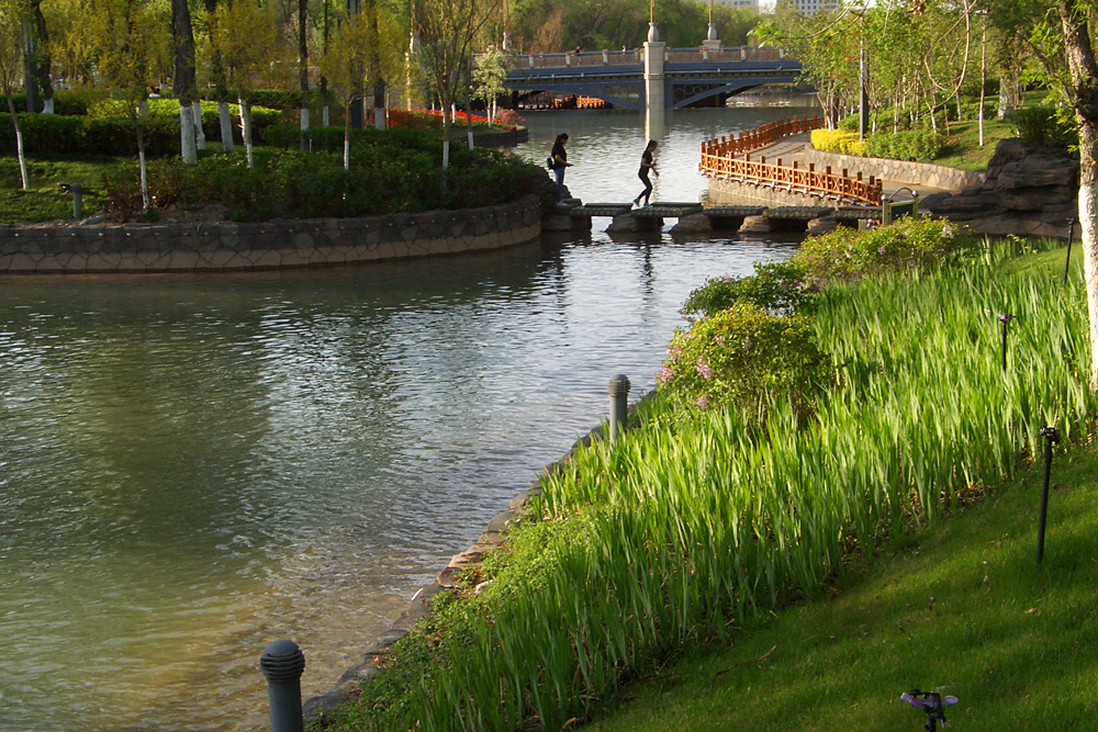 CIMG5039 ����.jpg