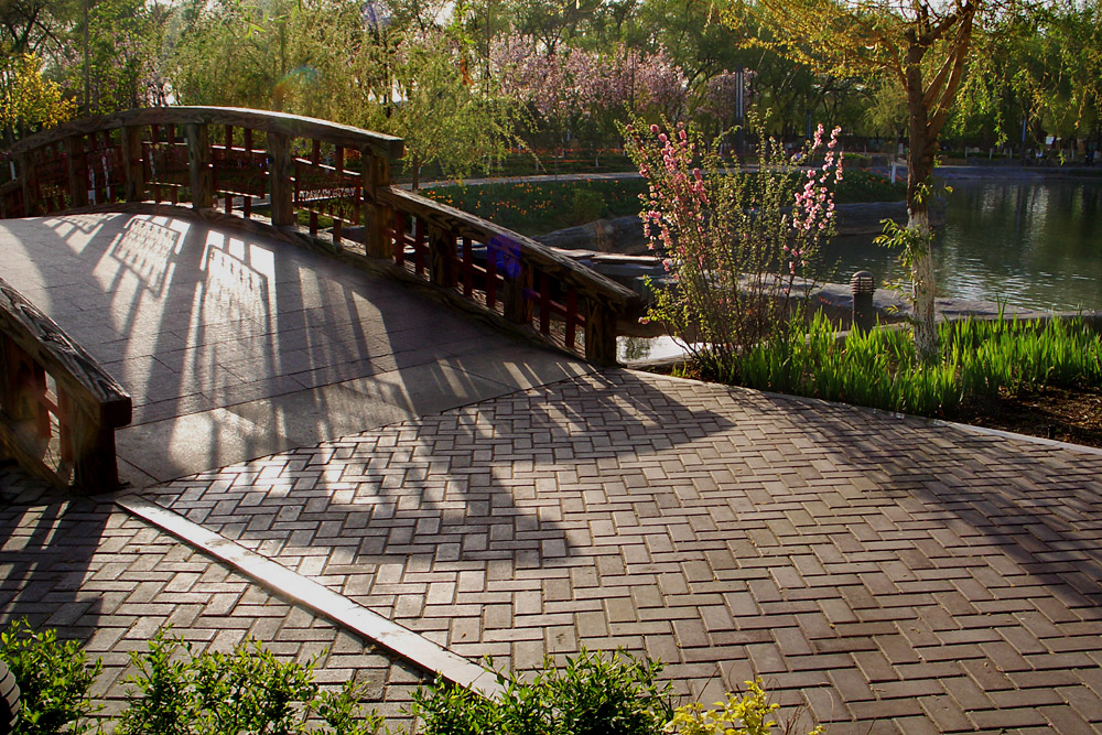 CIMG5050 ����.jpg