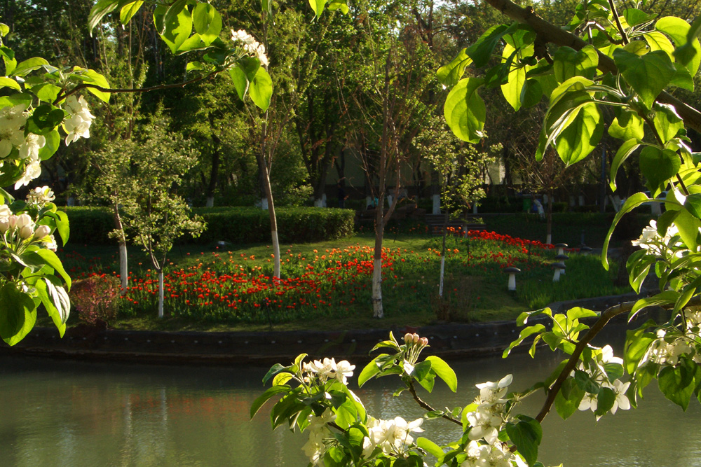 CIMG5108 ����.jpg