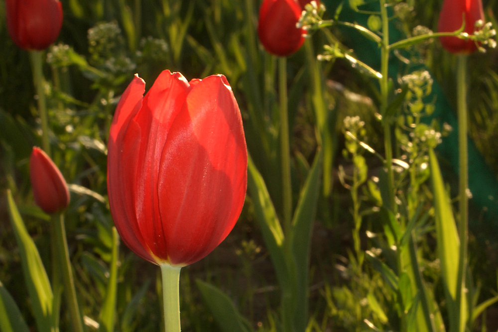 CIMG5121 ����.jpg