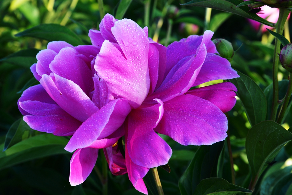 ��ҩ���� 020_����.jpg