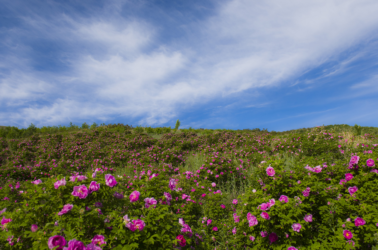 ĵ����ǰ������