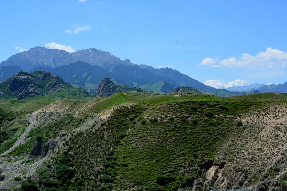 ���������˹���� 204_����.jpg