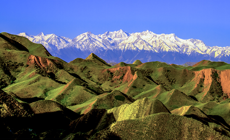 1 (3)��������.jpg