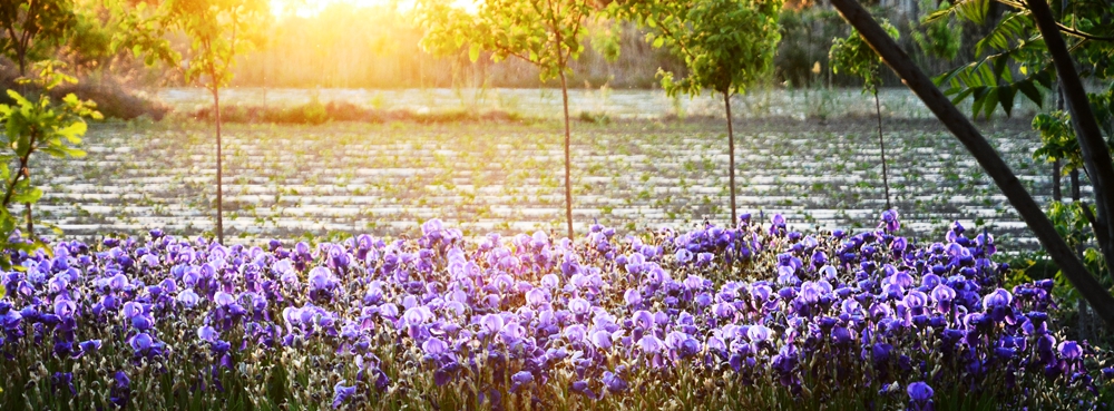 �β�� 082_����.jpg