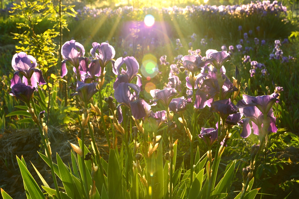 �β�� 027_����.jpg