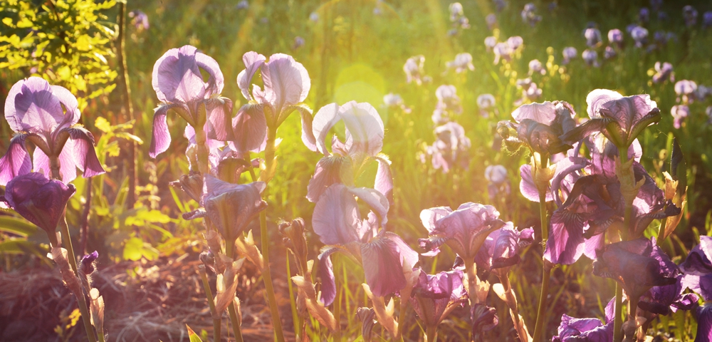 �β�� 029_����.jpg