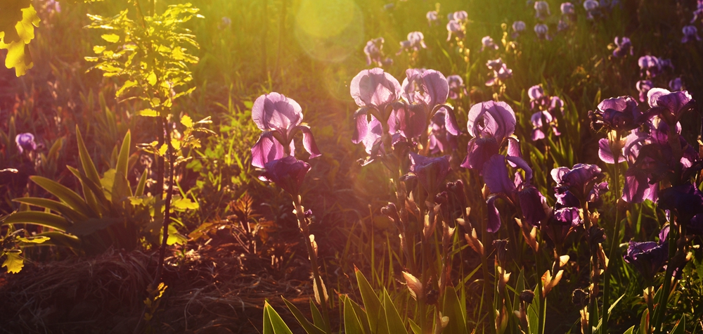 �β�� 030_����.jpg