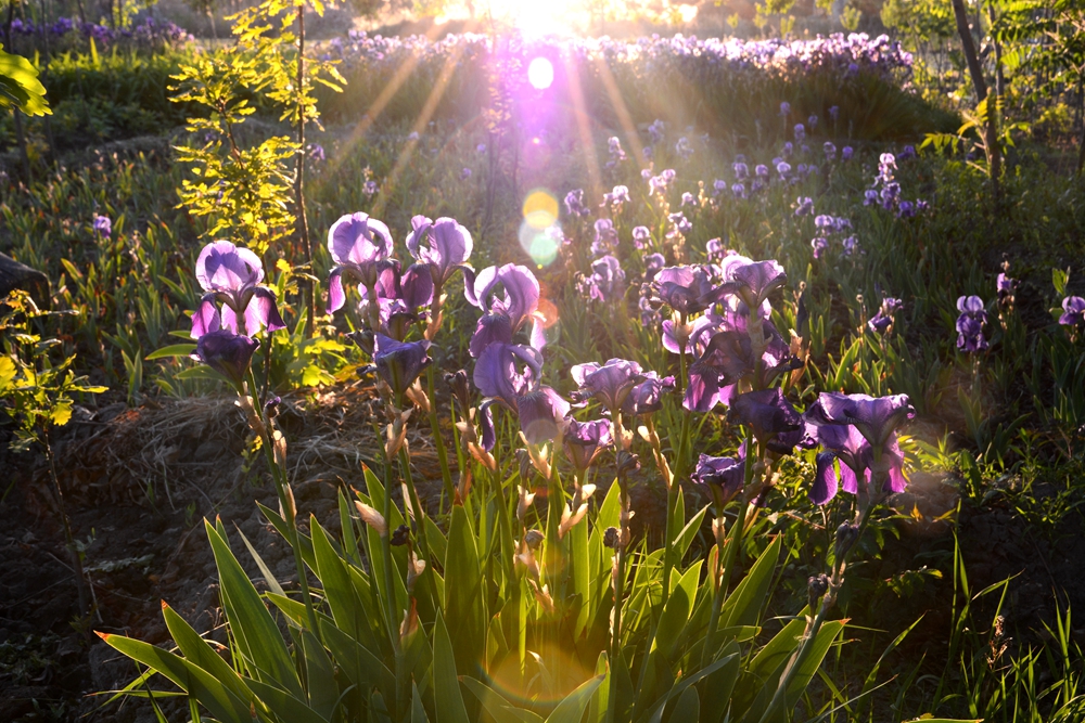 �β�� 031_����.jpg