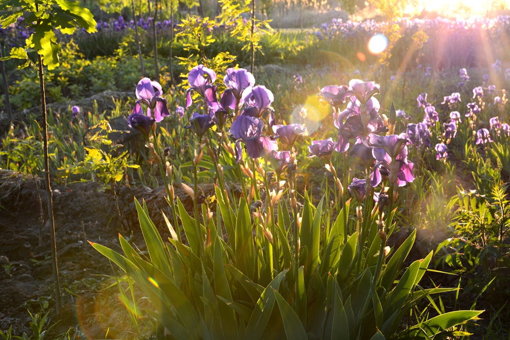 �β�� 034_����.jpg