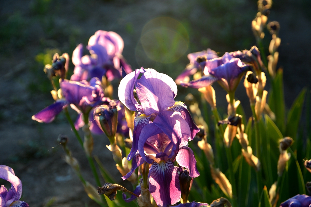 �β�� 044_����.jpg