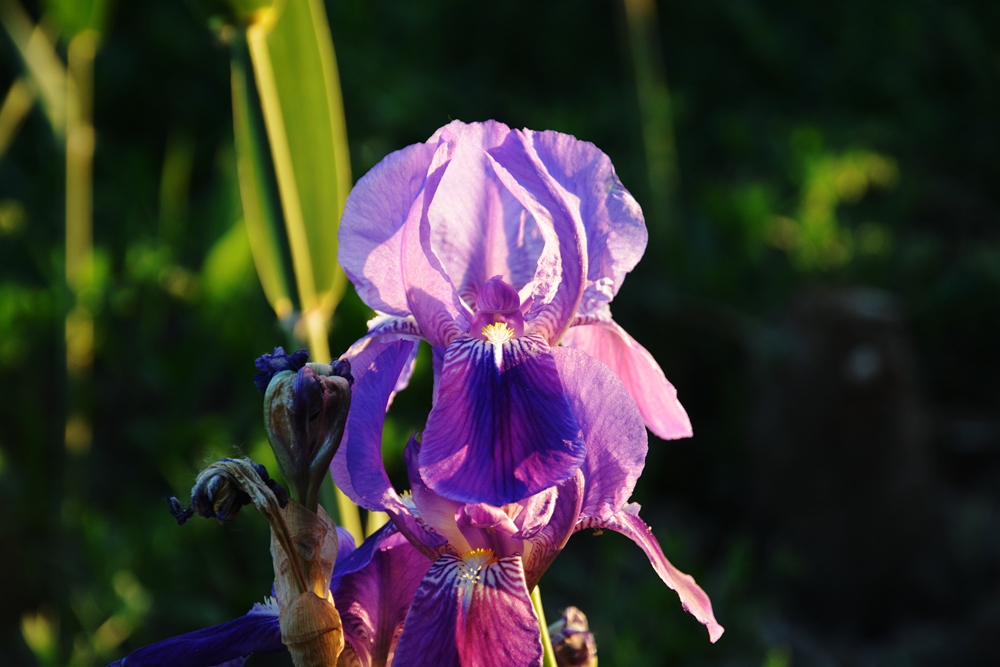 �β�� 045_����.jpg