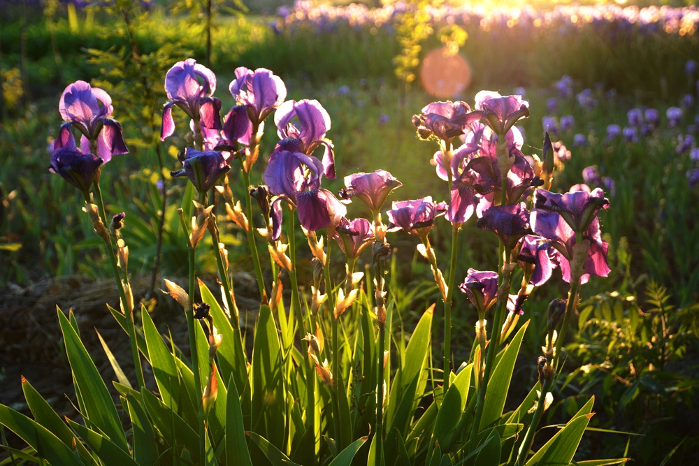 �β�� 049_����.jpg