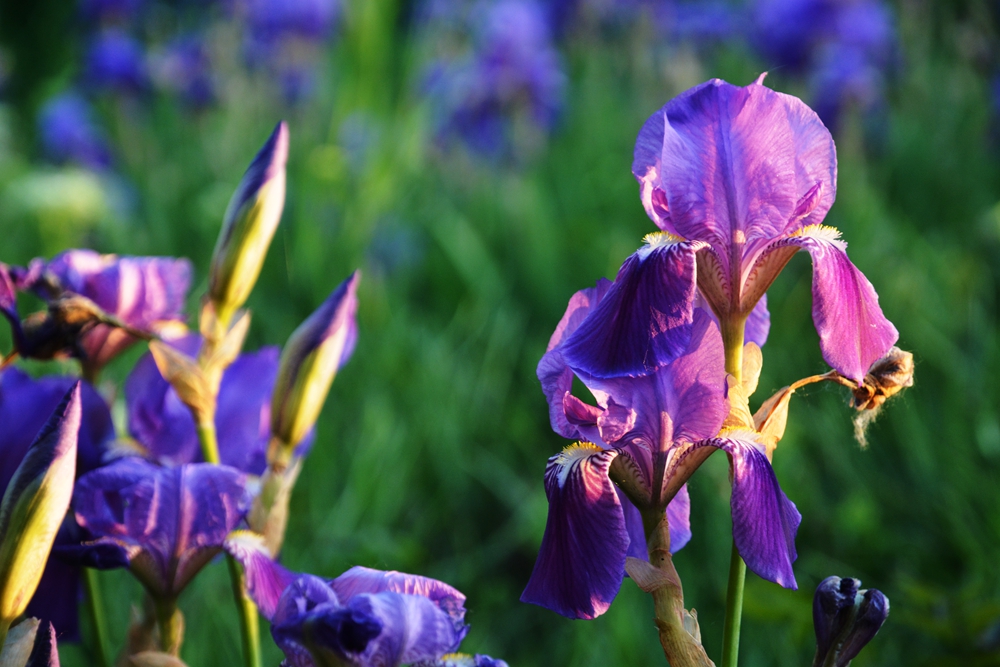 �β�� 056_����.jpg