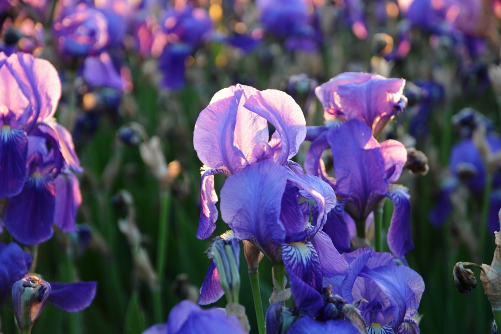 �β�� 064_����.jpg