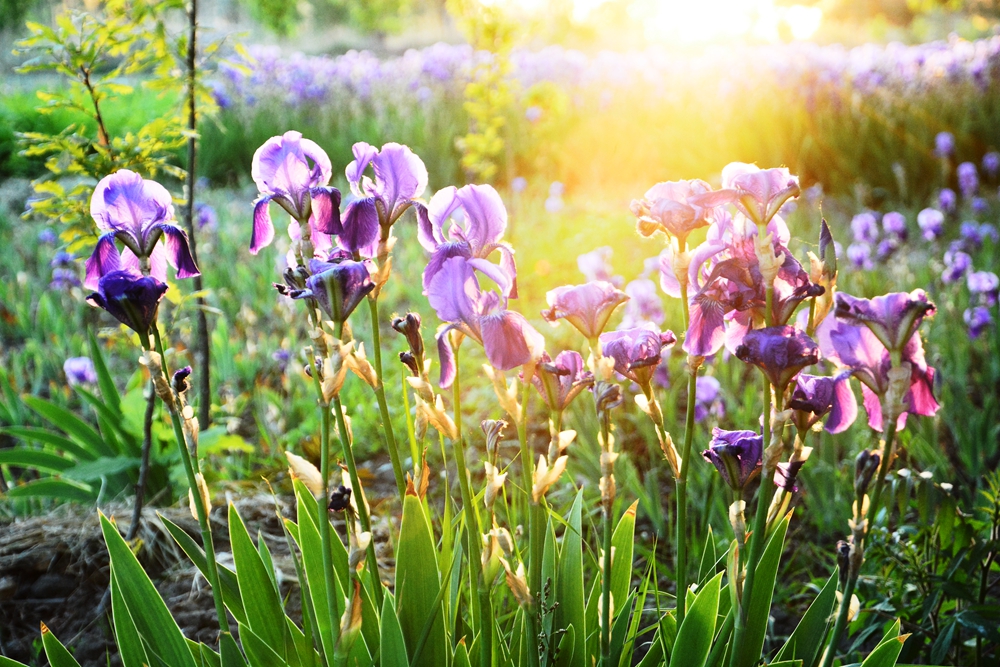 �β�� 074_����.jpg