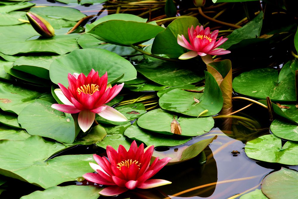 ���� DSC_4899_����.jpg