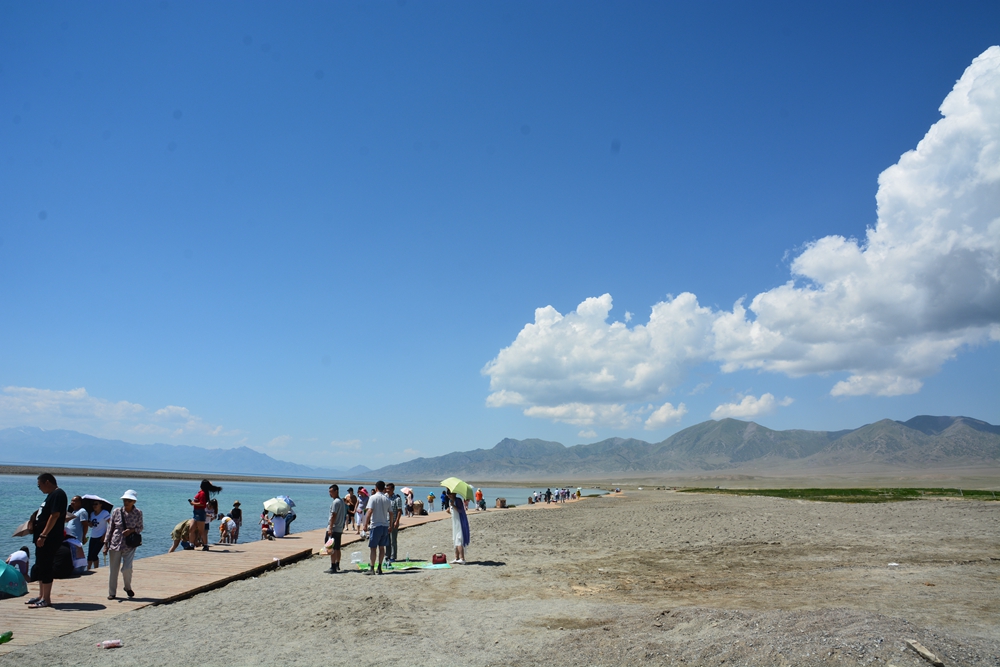 ������ľ���ϵ����ӹ� 006_����.jpg