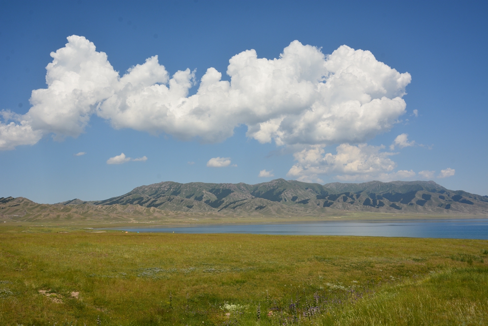 ������ľ���ϵ����ӹ� 047_����.jpg