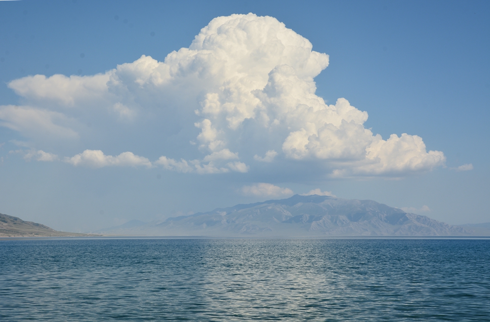 ������ľ���ϵ����ӹ� 065_����.jpg