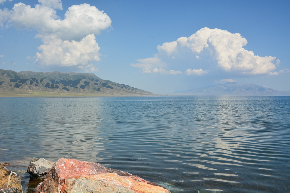 ������ľ���ϵ����ӹ� 086_����.jpg