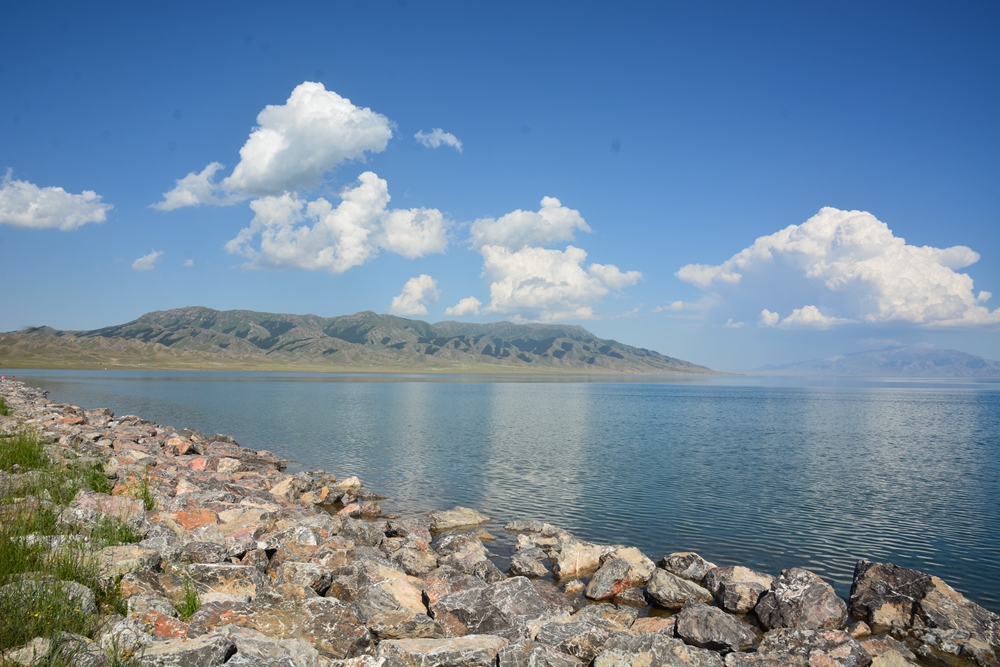 ������ľ���ϵ����ӹ� 100_����.jpg