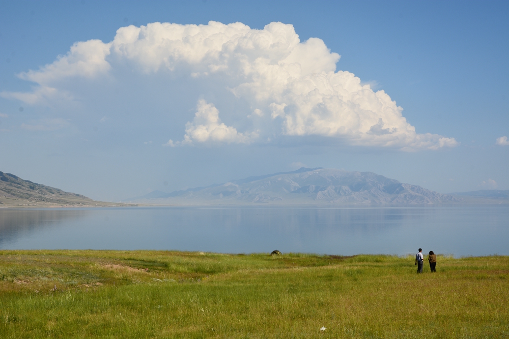 ������ľ���ϵ����ӹ� 106_����.jpg