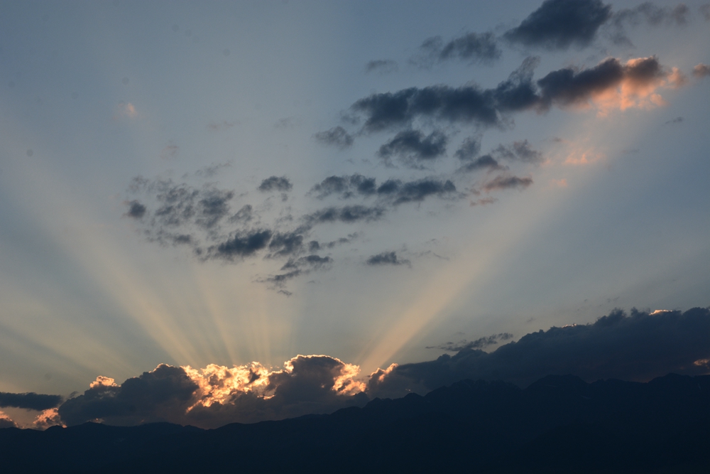 ������ľ���ϵ����ӹ� 223_����.jpg