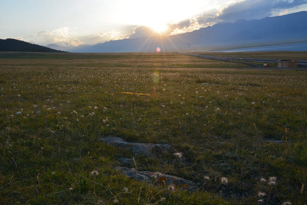 ������ľ���ϵ����ӹ� 196_����.jpg