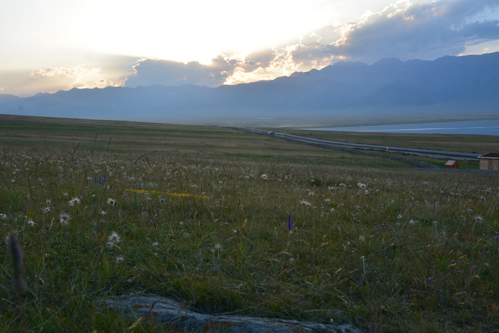 ������ľ���ϵ����ӹ� 201_����.jpg