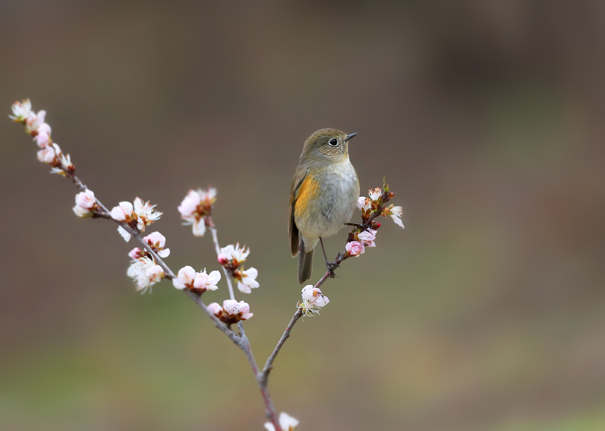 ��в��β�2  С.jpg