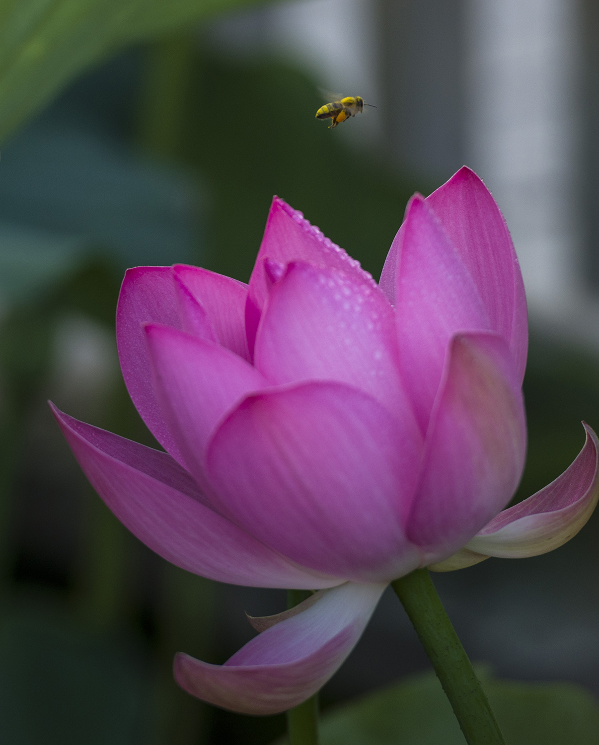 �ɻ�����ʱ