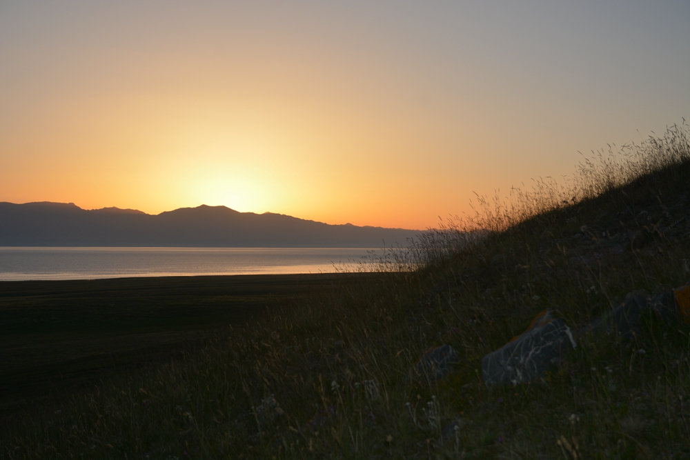 ������ľ���ϵ����ӹ� 274_����.jpg