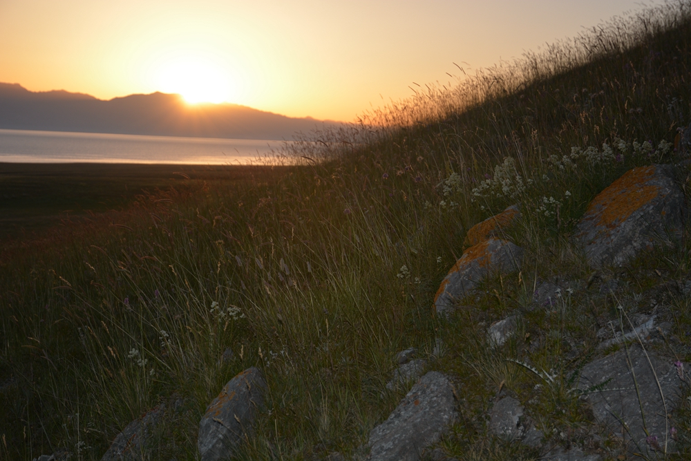 ������ľ���ϵ����ӹ� 277_����.jpg