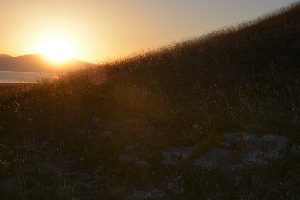 ������ľ���ϵ����ӹ� 285_����.jpg