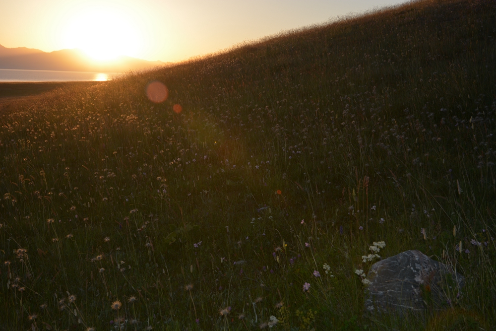 ������ľ���ϵ����ӹ� 289_����.jpg