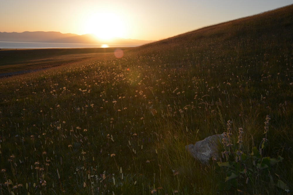 ������ľ���ϵ����ӹ� 293_����.jpg