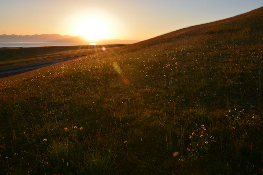 ������ľ���ϵ����ӹ� 295_����.jpg