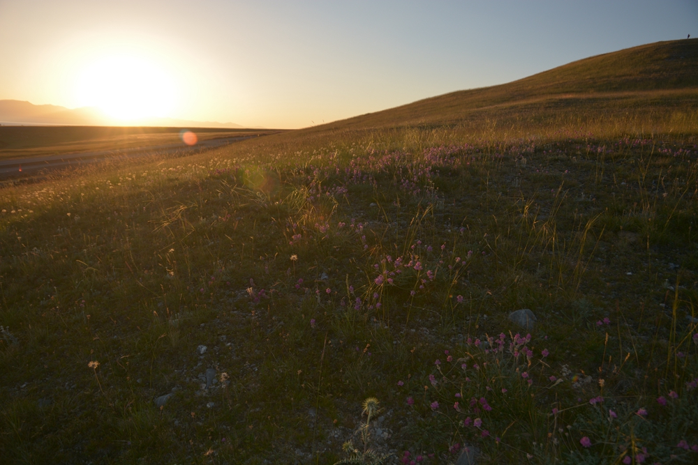 ������ľ���ϵ����ӹ� 301_����.jpg