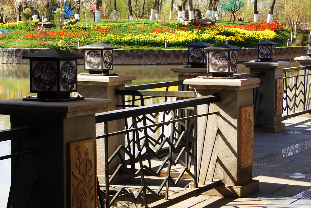 CIMG4768 ����.jpg