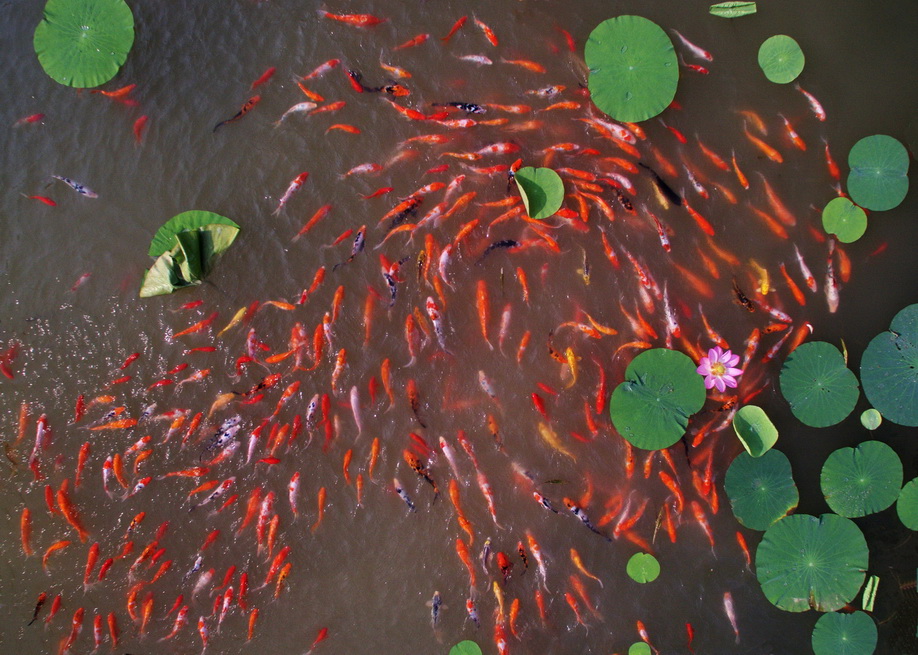 ���� DJI_0055.jpg