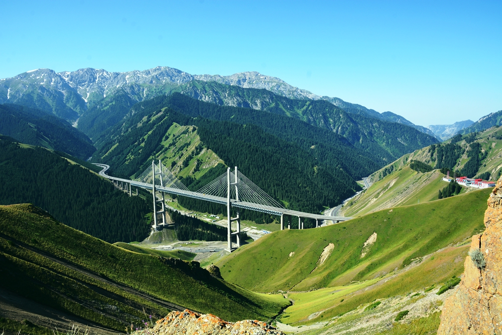 ������ľ���ϵ����ӹ� 360_����.jpg